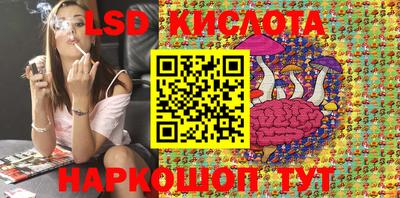 бошки Сланцы