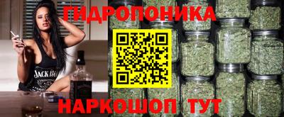 бошки Сланцы