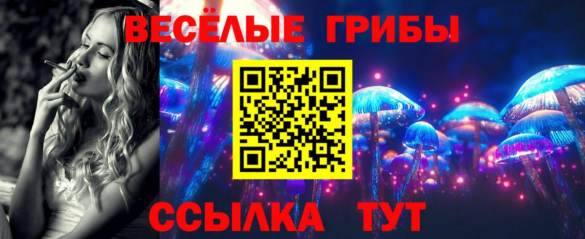 Новоалтайск  закладка  Вход с VPN  Псилоцибиновые грибы ЛСД 